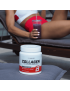 Collagen en Polvo 300g - Biotech Usa