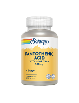 Pantothenic Acid 500mg 100...