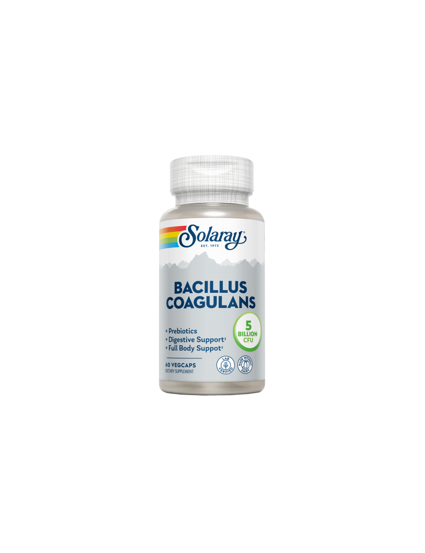 Bacillus Coagulans 60 VegCaps - Solaray