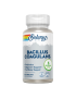 Bacillus Coagulans 60 VegCaps - Solaray