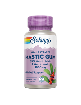 Mastic Gum 1kg 45 VegCaps -...