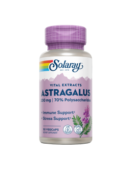 Astragalus 200mg 30 VegCaps...