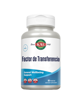 Factor de Transferencia 60...