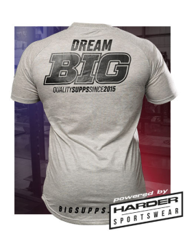 Camiseta Gris Hombre - BIG