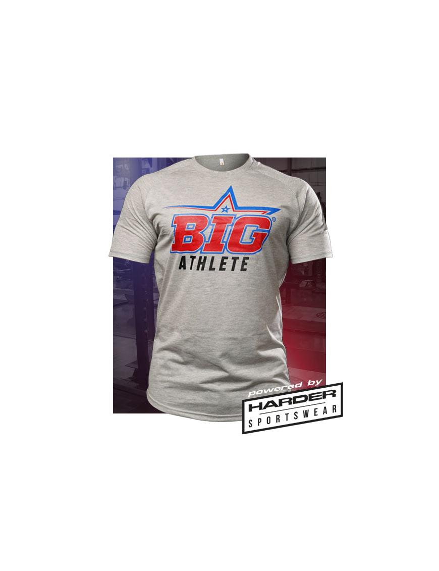 Camiseta Gris Hombre - BIG