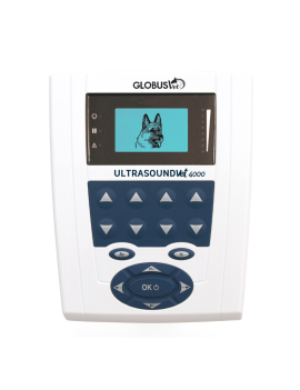 Utrasonido Veterinaria Ultrasoundvet 4000