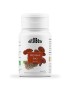 Reishi BIO 45 Cápsulas - VitoBest