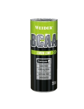 BCAA RTD Caja 24X250ml -...