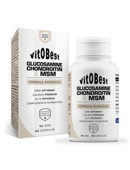 Glucosamine, Chondroitin & MSM 60 Cápsulas - VitoBest