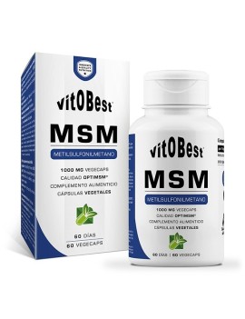 MSM 60 Cápsulas - VitoBest
