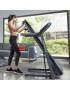 Cinta de Correr Plegable TR 5.0 - Horizon Fitness